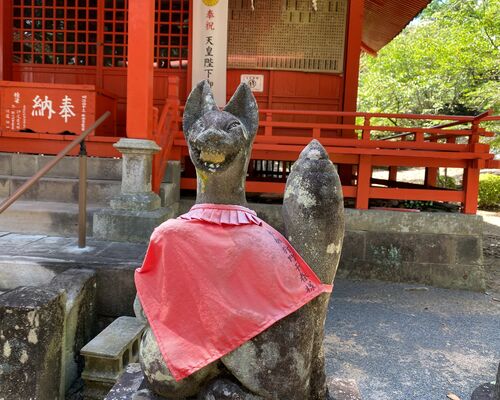 キツネ 大村公園 稲荷