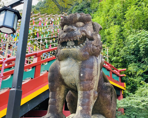 祐徳稲荷神社　狛犬